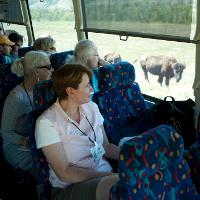 Bus passengers looking at buffalo
