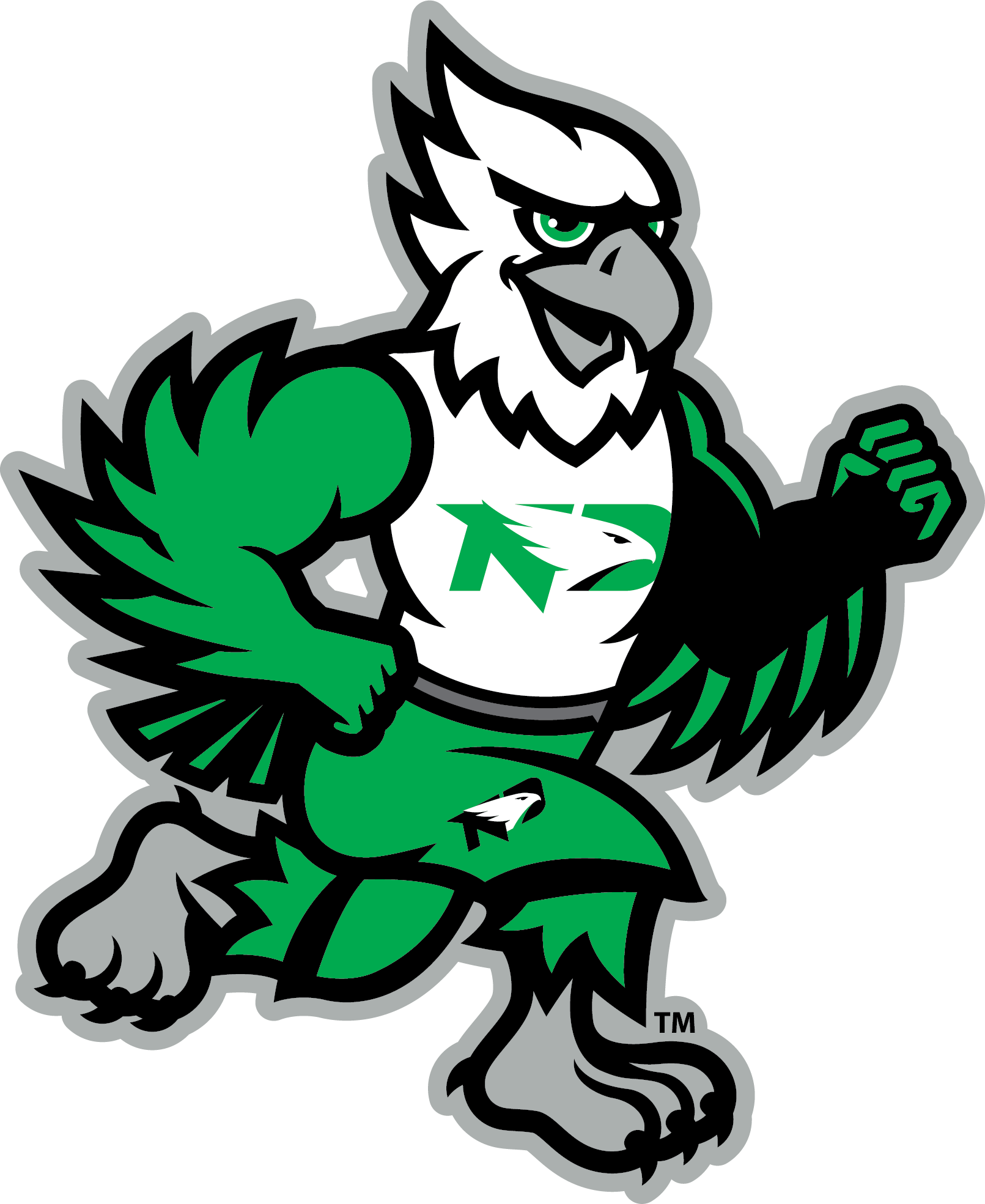 North Dakota Fighting Hawks - College Sports Vector SVG Logo in 5 formats -  SPLN003084 • Sports Logos - Embroidery & Vector for NFL, NBA, NHL, MLB,  MiLB, and more!