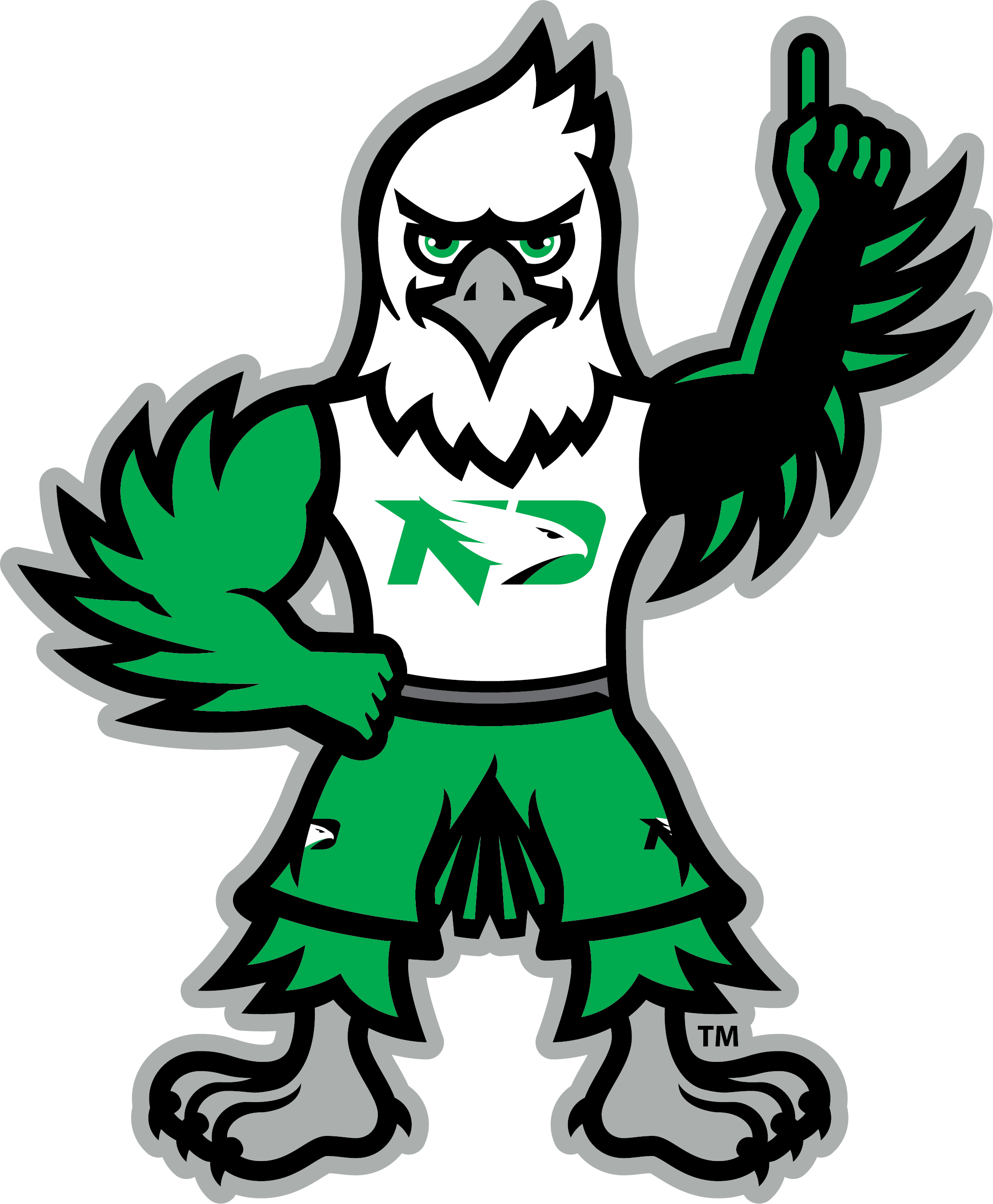 Gridiron Labs  Brand, Logo, Sports Identity, Graphic Design - UND Fighting  Hawks